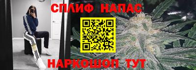 гашик Нарткала