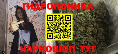 гашик Нарткала